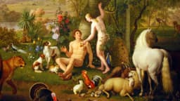 Numerologie und die Bedeutung der Schöpfungstage